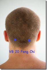 point acupuncture VB 20 Feng chi allergies sphère ORL