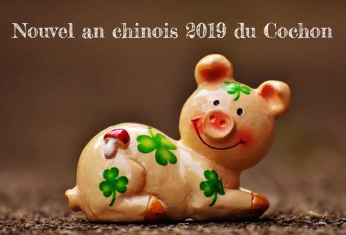 cochon porte-bonheur nouvel an chinois