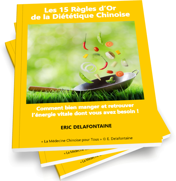 e-book gratuit 15 règles d'or de la diététique chinoise par Eric Delafontaine