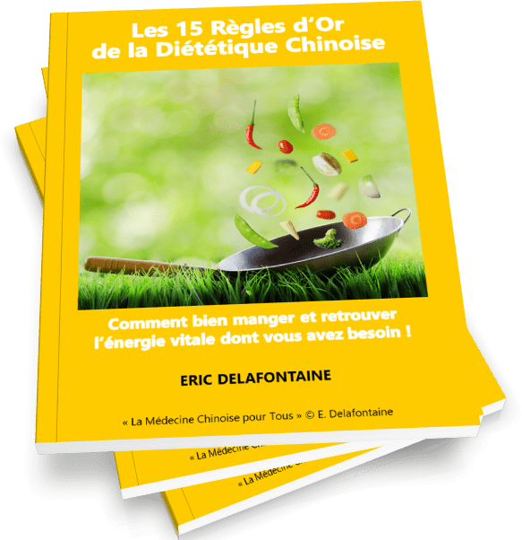 e-book gratuit 15 règles d'or de la diététique chinoise par Eric Delafontaine