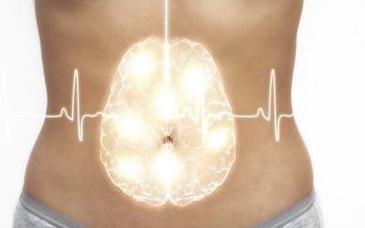 La médecine chinoise sait depuis longtemps que le ventre est notre deuxième cerveau