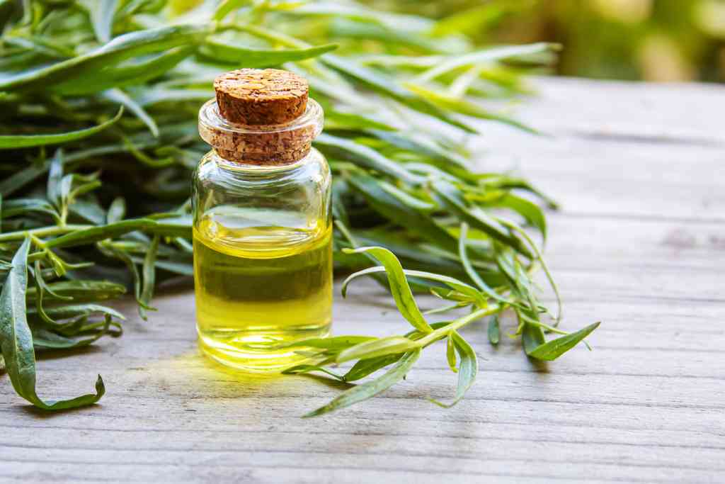 Vertus antispasmodiques et antiallergiques huile essentielle estragon