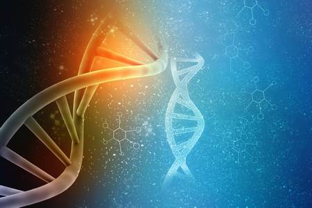 ADN mémoire ancestrale énergie innée